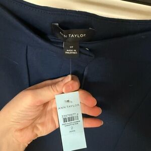 Ann Taylor Deep Blue Petite Pants